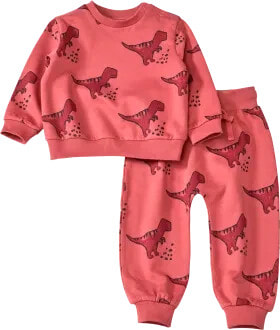 Set mit Sweatshirt & Hose mit Dino-Muster, rosa, Gr. 86, 1 St