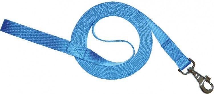 CHABA LEASH TRAINING 15m BLUE TAPE