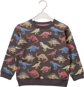 Sweatshirt mit Dino-Motiv, grau, Gr. 110, 1 St