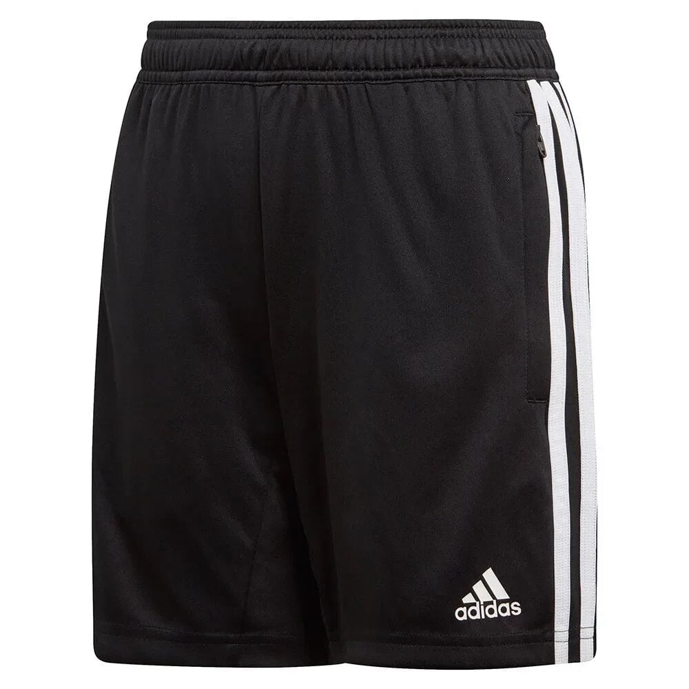 ADIDAS Tiro 19 Training Shorts