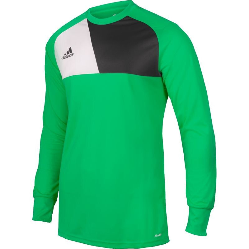 Мужской свитшот спортивный зеленый adidas Assita 17 M AZ5400 goalkeeper jersey