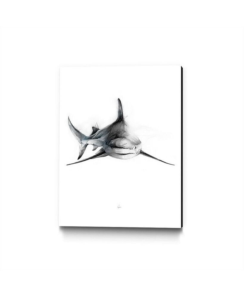 Eyes On Walls alexis Marcou Shark 2 Museum Mounted Canvas 24