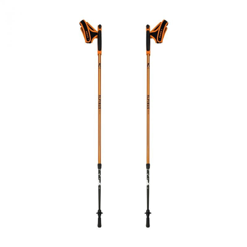 Nordic walking poles Alpinus Kungsleden NX43603