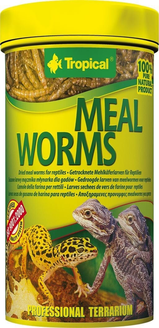 Tropical MEAL WORMS 250ml CAN