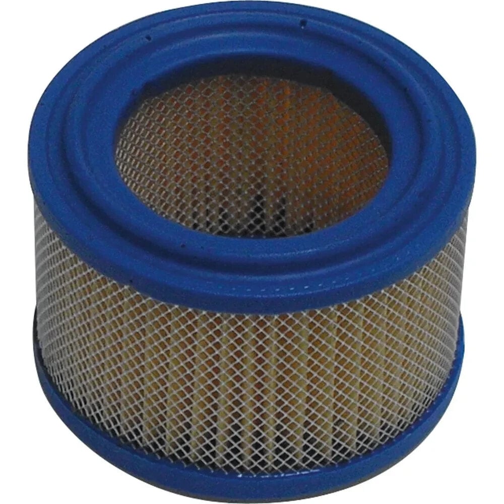 MIW BMW C1 125/200 air filter