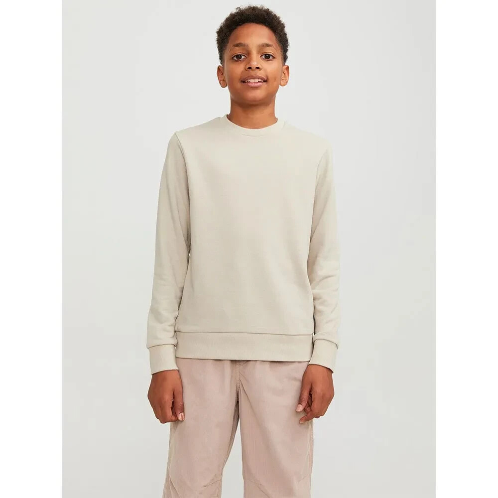 JACK & JONES Bradley Sweatshirt