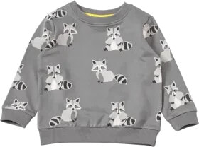 Sweatshirt mit Waschbär-Muster, grau, Gr. 104, 1 St