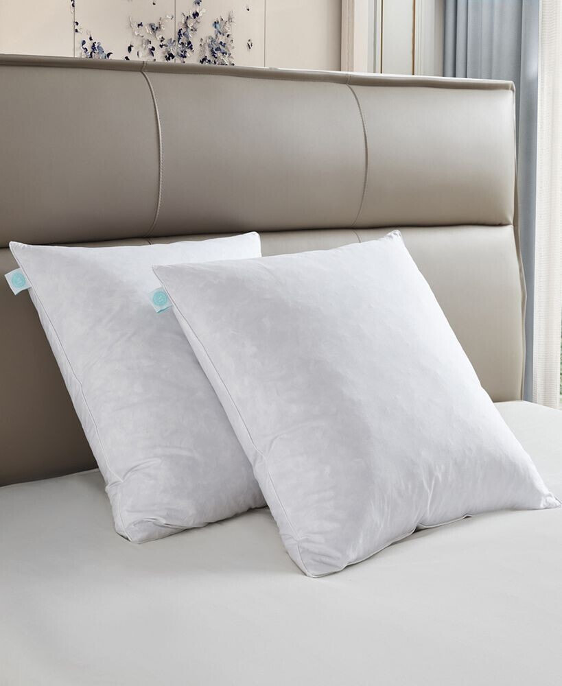 Martha Stewart feather Medium/Firm 2-Pack Pillow, 20