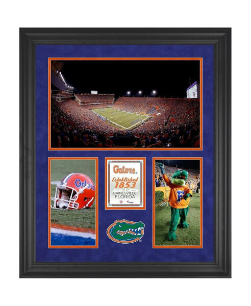 Florida Gators Ben Hill Griffin Stadium Framed 20'' x 24'' 3-Opening Collage