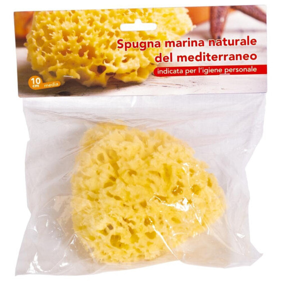 MAMIBB Mediterranean Sponge