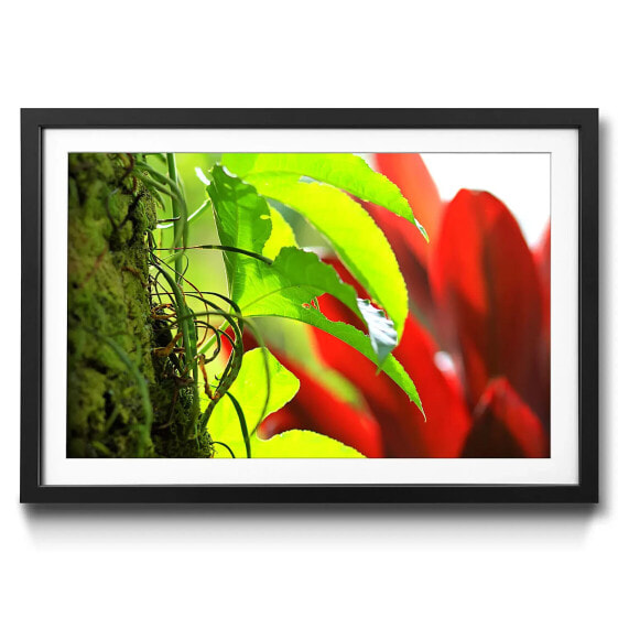 Gerahmtes Bild Red Green Nature