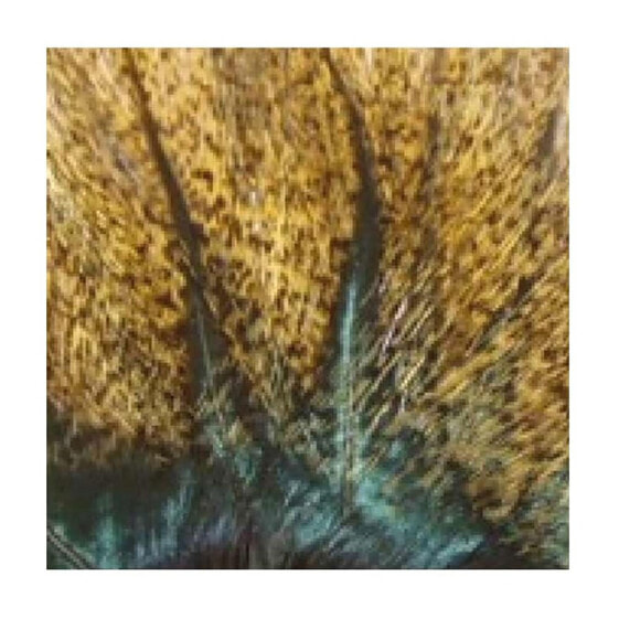 BAETIS Brown lion Feather