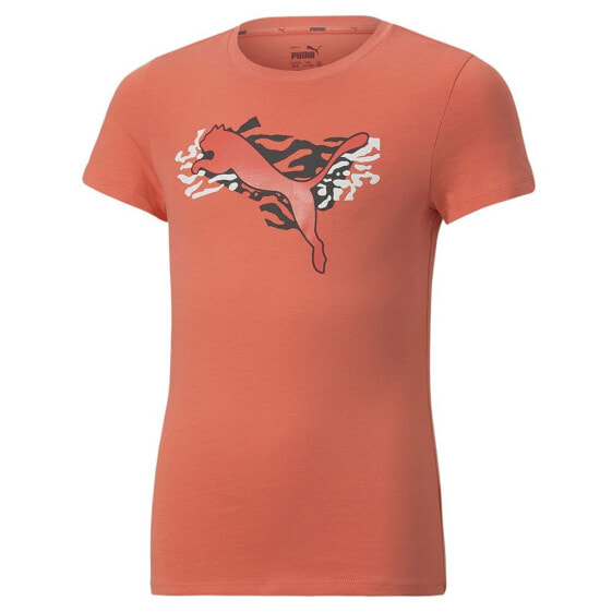 PUMA Alpha T-shirt