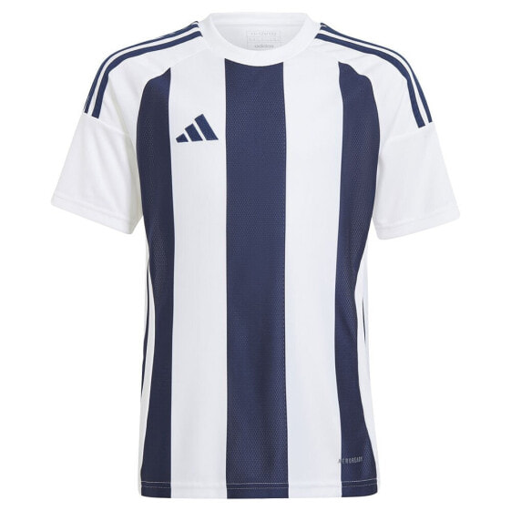 ADIDAS Striped 24 short sleeve T-shirt