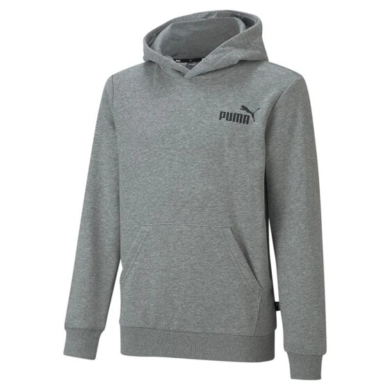 PUMA Ess Small Logo hoodie