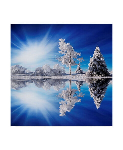 Philippe Sainte-Laudy Cold Light Winter Canvas Art - 15" x 20"