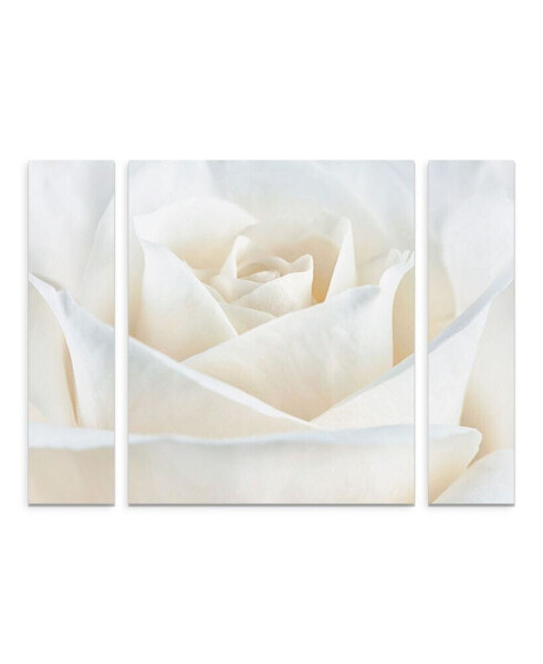 Cora Niele 'Pure White Rose' Multi Panel Art Set Small - 24" x 32" x 2"