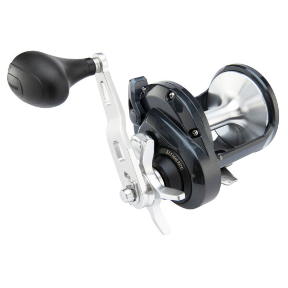 Shimano TORIUM Conventional Reels (TOR40PGA) Fishing