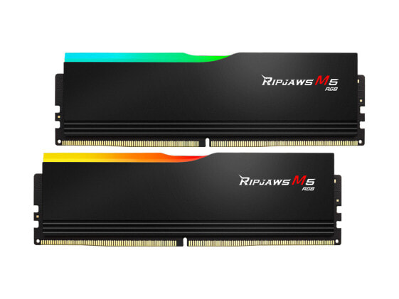 G.SKILL Ripjaws M5 RGB Series 32GB (2 x 16GB) 288-Pin PC RAM DDR5 6000 (PC5 4800