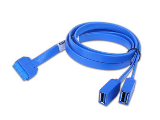 Chenbro Micom 26H03313601A0 - 0.75 m - 2 x USB A - USB 3.2 Gen 1 (3.1 Gen 1) - Blue
