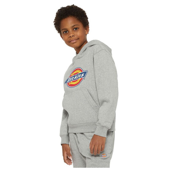 Толстовка для детей Dickies Youth Logo Hoodie