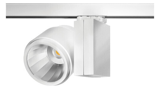 ARCLITE AF40705.00.91 - Rail lighting spot - 1 bulb(s) - LED - 40 W - 3000 K - White