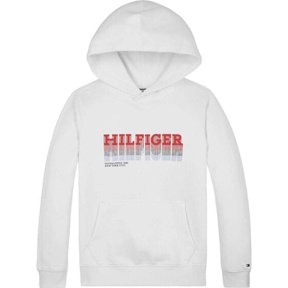 TOMMY HILFIGER Fade hoodie