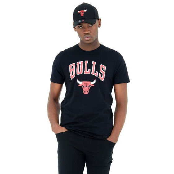 Футболка мужская New Era NBA Regular Chicago Bulls 60416749