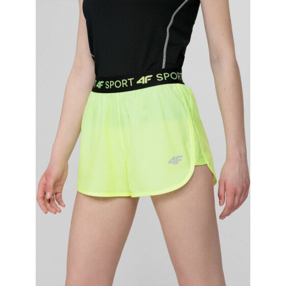 Спортивные шорты женские 4F Shorts 4F W H4L22-SKDF010 45S