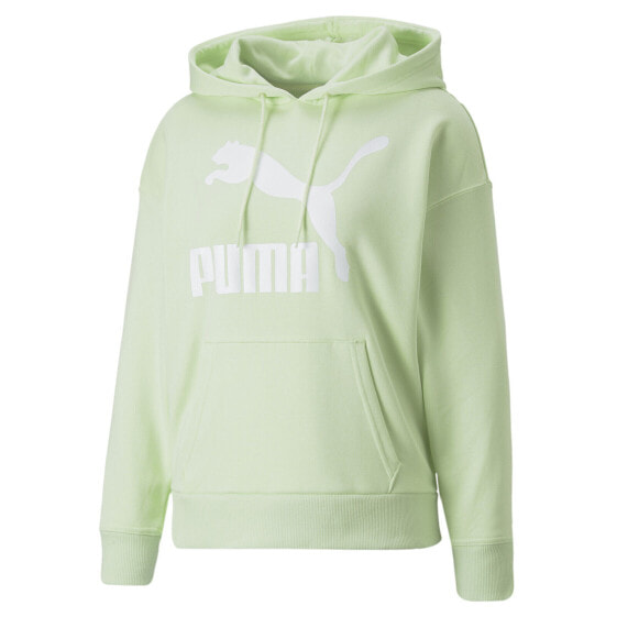 Puma Classics Logo Pullover Hoodie Womens Green Casual Outerwear 53186132