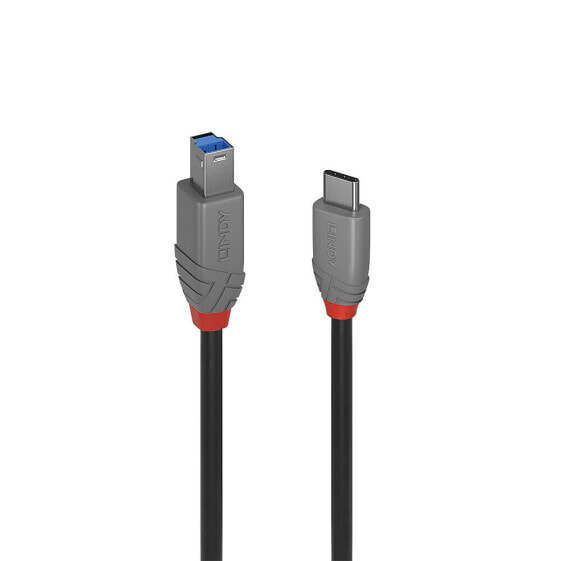 Кабель USB 3.2 Type C к Type B Lindy Anthra Line 2 м черный 500 Mbit/s Gen 1 (3.1 Gen 1)