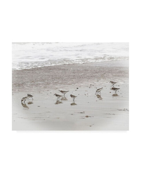 Brooke T. Ryan Sandpipers Canvas Art - 36.5" x 48"