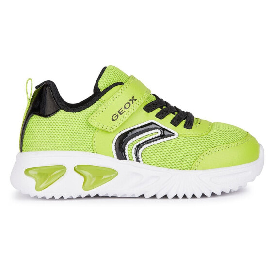 GEOX Assister trainers