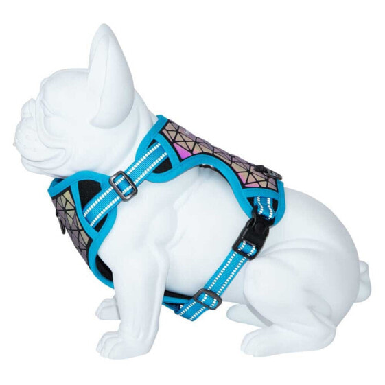 FREEDOG Boreal Harness