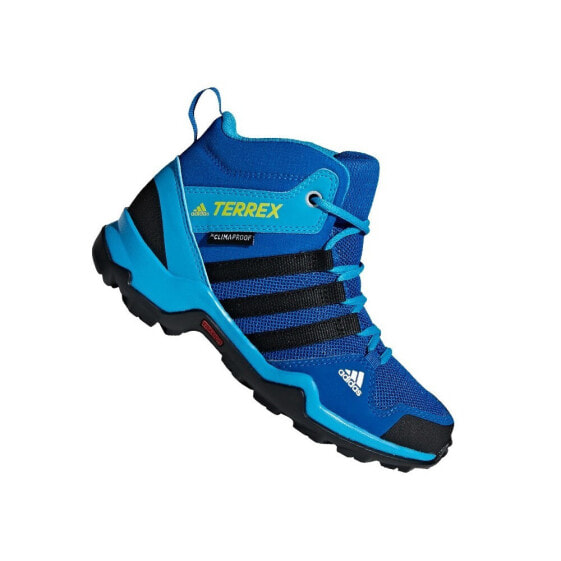 Ботинки детские Adidas JR Terrex AX2R Mid CP