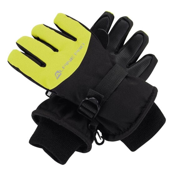 ALPINE PRO Ski gloves