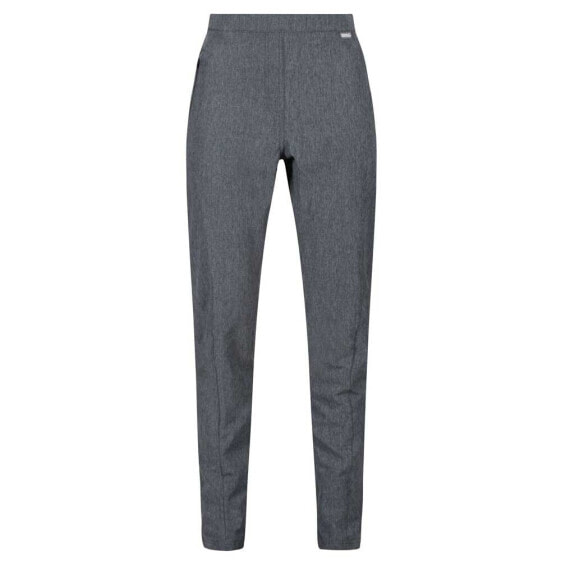 REGATTA Pentre Stretch pants