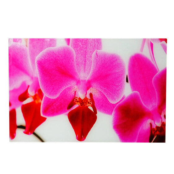 Картина MCW Glasbild T117 Orchidee 40x60 см