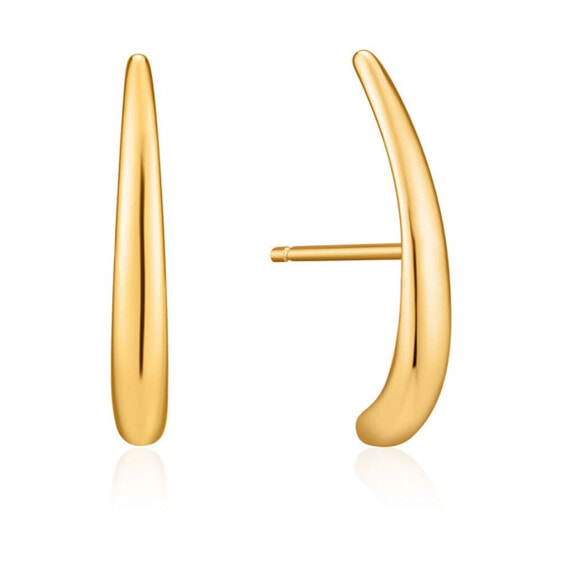 ANIA HAIE E024-05G Earrings