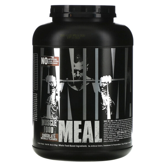 Balanced Meal™, Protein Powder, Chocolate, 5 lbs (2.27 kg)