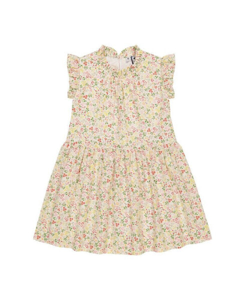 Girls Kinsley Toddler|Child Dropwaist Dress