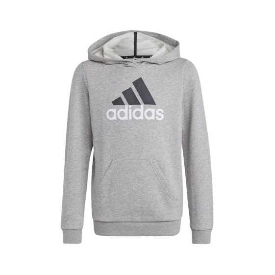 Adidas Big Logo 2 Hoody JR