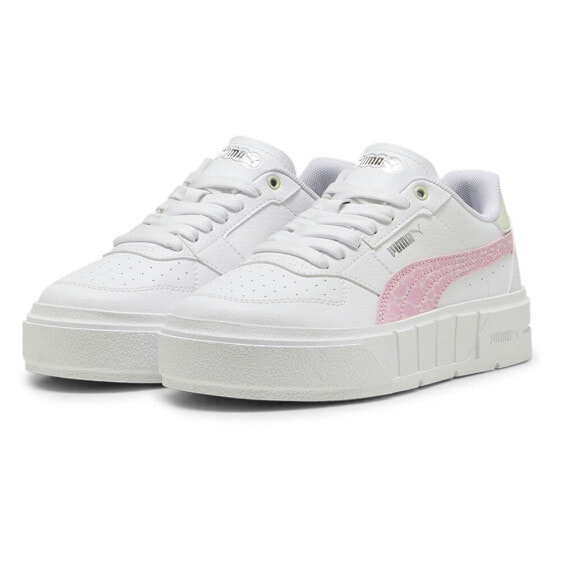 PUMA Cali Court Animal trainers