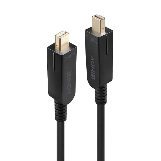 Lindy 30m Fibre Optic Hybrid Mini DisplayPort 1.4 Cable with Detachable DP Connectors, 30 m, Mini DisplayPort, Mini DisplayPort, Male, Male, 7680 x 4320 pixels