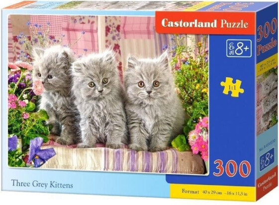 Castorland Puzzle 300 Three Grey Kittens