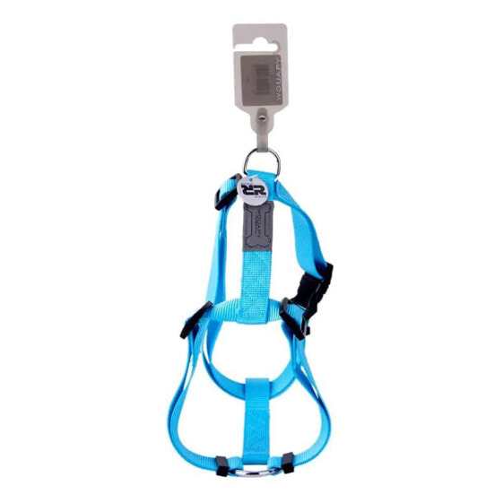 COMINTER Wouapy Basic 25 mm Harness