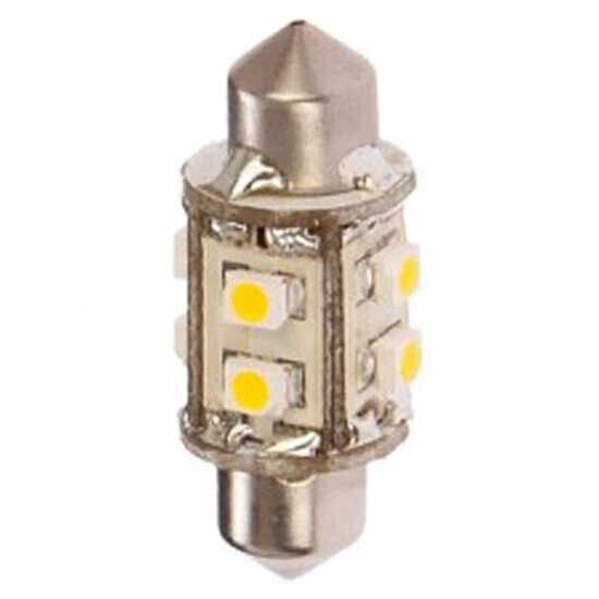 NAUTICLED F31-Navi-08-RD 10-35 V DC 6000K Navigation Led Bulb