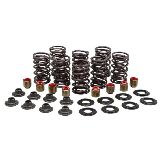 KIBBLEWHITE Polaris RZR 82-83000 Valve Springs&Washers