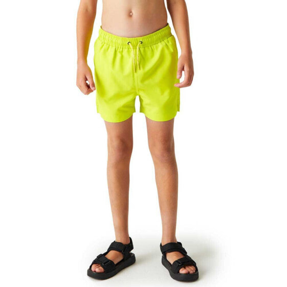 REGATTA Skander III Swimming Shorts