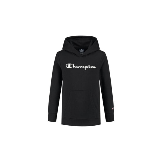 Champion Hooded Sweatshirt